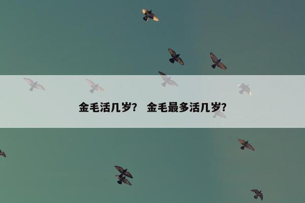 金毛活几岁？ 金毛最多活几岁？