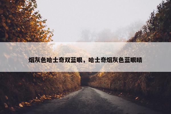 烟灰色哈士奇双蓝眼，哈士奇烟灰色蓝眼睛