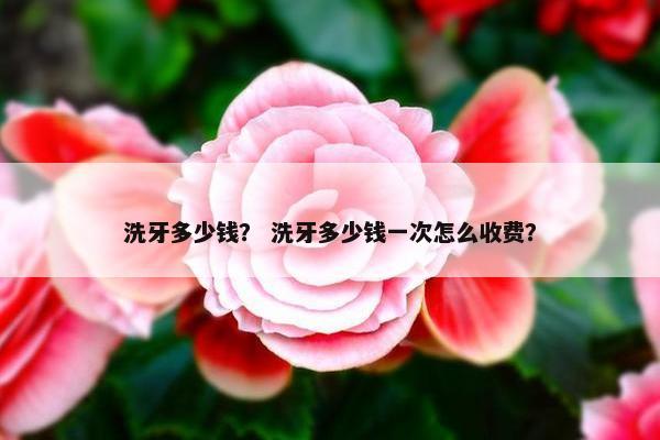 洗牙多少钱？ 洗牙多少钱一次怎么收费？