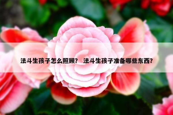 法斗生孩子怎么照顾？ 法斗生孩子准备哪些东西？