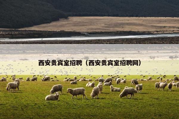 西安贵宾室招聘（西安贵宾室招聘网）