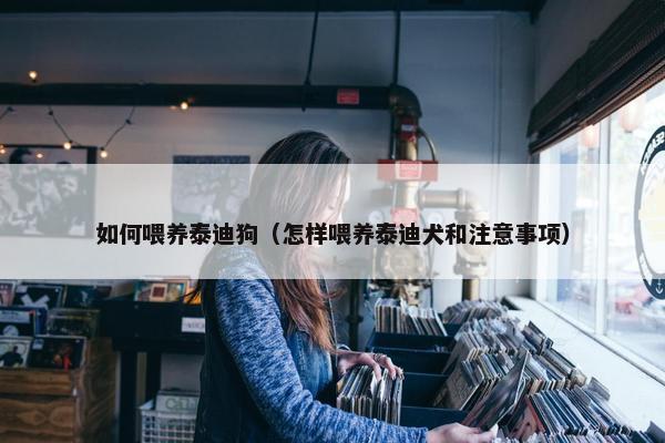 如何喂养泰迪狗（怎样喂养泰迪犬和注意事项）