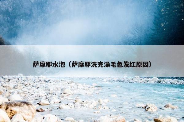 萨摩耶水泡（萨摩耶洗完澡毛色发红原因）