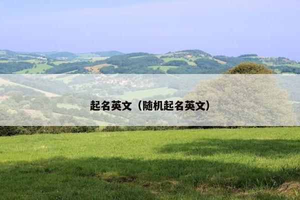 起名英文（随机起名英文）