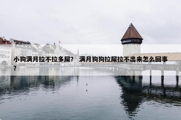 小狗满月拉不拉多屎？ 满月狗狗拉屎拉不出来怎么回事？