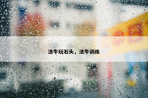 法牛玩石头，法牛训练