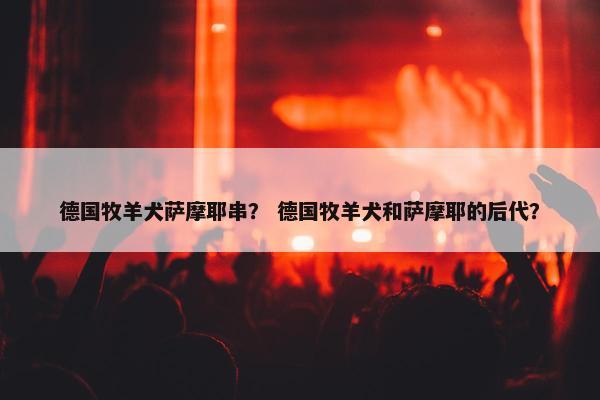 德国牧羊犬萨摩耶串？ 德国牧羊犬和萨摩耶的后代？