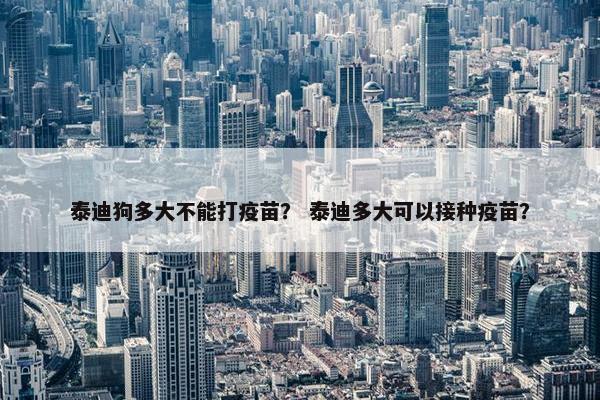 泰迪狗多大不能打疫苗？ 泰迪多大可以接种疫苗？