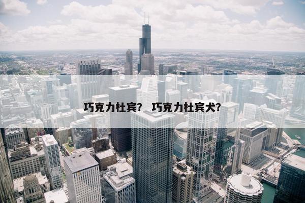 巧克力杜宾？ 巧克力杜宾犬？