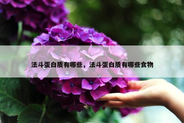法斗蛋白质有哪些，法斗蛋白质有哪些食物