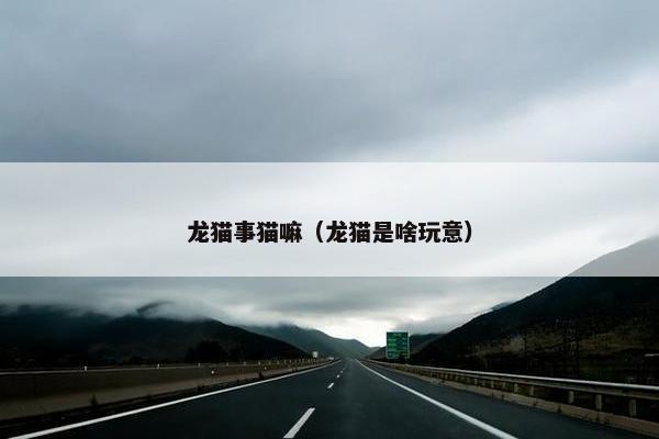 龙猫事猫嘛（龙猫是啥玩意）