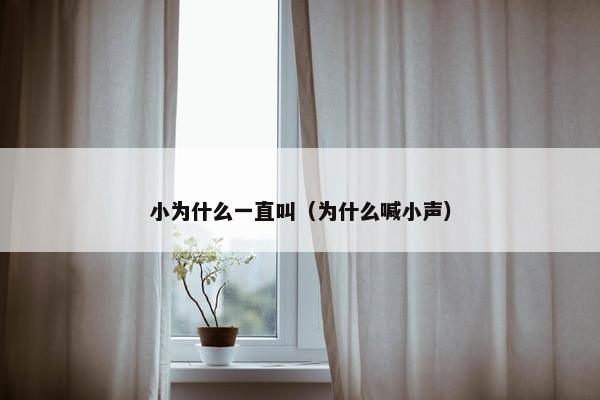 小为什么一直叫（为什么喊小声）