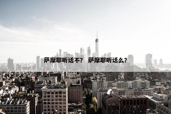 萨摩耶听话不？ 萨摩耶听话么？