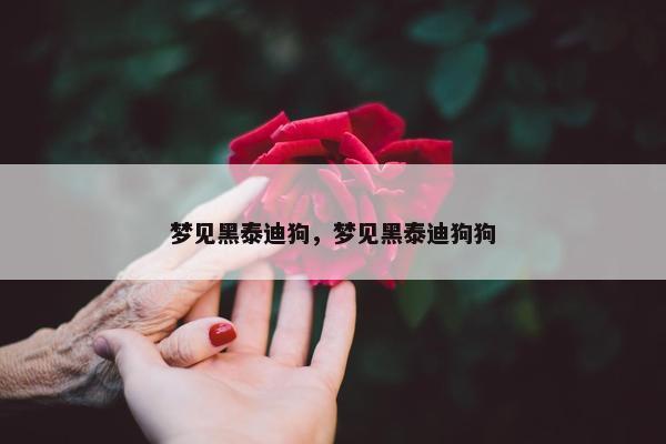 梦见黑泰迪狗，梦见黑泰迪狗狗