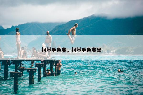柯基毛色变，柯基毛色变黑