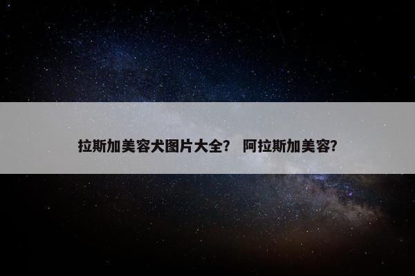 拉斯加美容犬图片大全？ 阿拉斯加美容？