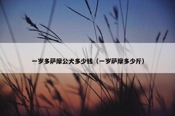 一岁多萨摩公犬多少钱（一岁萨摩多少斤）