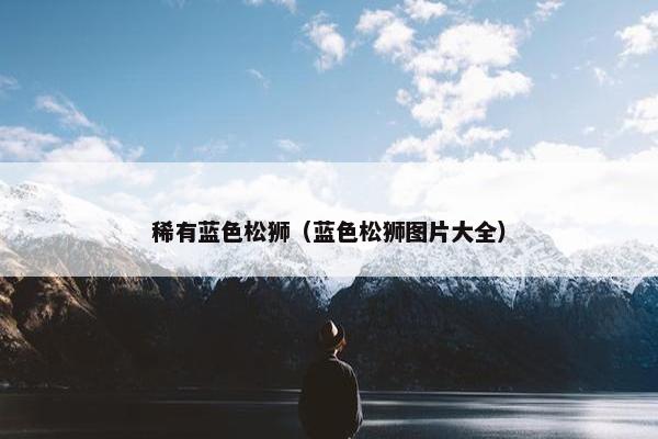 稀有蓝色松狮（蓝色松狮图片大全）