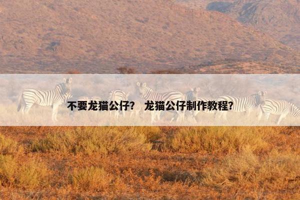 不要龙猫公仔？ 龙猫公仔制作教程？
