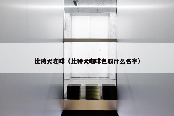 比特犬咖啡（比特犬咖啡色取什么名字）
