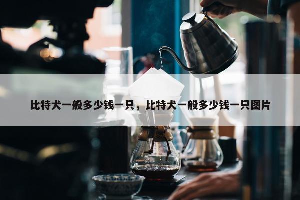 比特犬一般多少钱一只，比特犬一般多少钱一只图片