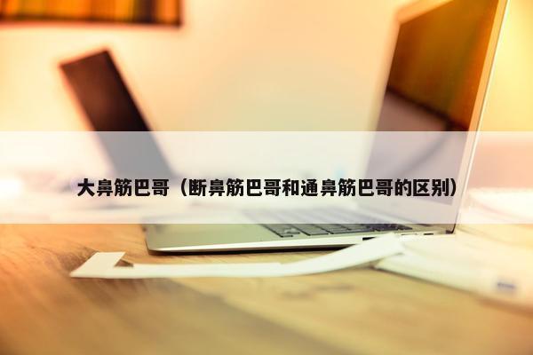 大鼻筋巴哥（断鼻筋巴哥和通鼻筋巴哥的区别）