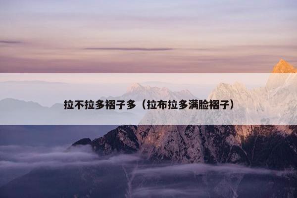 拉不拉多褶子多（拉布拉多满脸褶子）