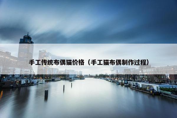 手工传统布偶猫价格（手工猫布偶制作过程）