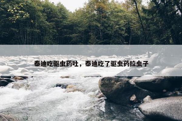 泰迪吃驱虫药吐，泰迪吃了驱虫药拉虫子