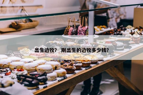 出生边牧？ 刚出生的边牧多少钱？