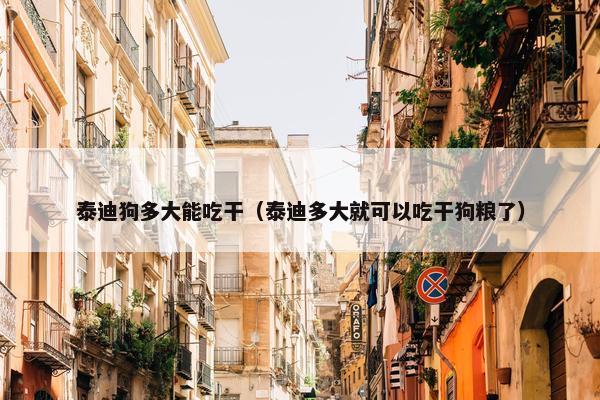 泰迪狗多大能吃干（泰迪多大就可以吃干狗粮了）