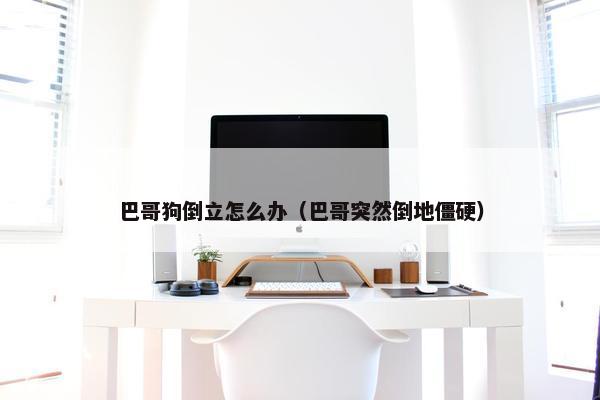 巴哥狗倒立怎么办（巴哥突然倒地僵硬）
