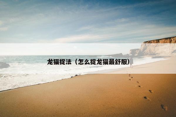 龙猫捉法（怎么捉龙猫最舒服）