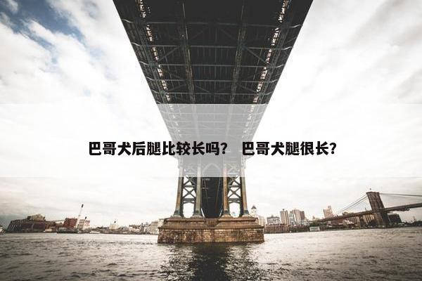 巴哥犬后腿比较长吗？ 巴哥犬腿很长？