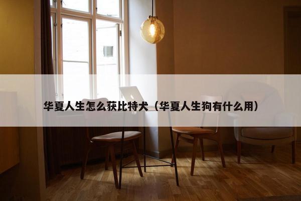 华夏人生怎么获比特犬（华夏人生狗有什么用）