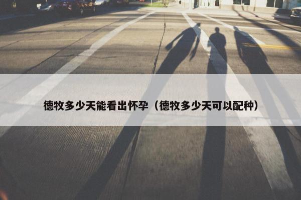 德牧多少天能看出怀孕（德牧多少天可以配种）