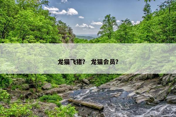 龙猫飞猪？ 龙猫会员？