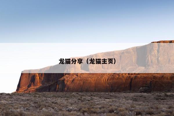 龙猫分享（龙猫主页）