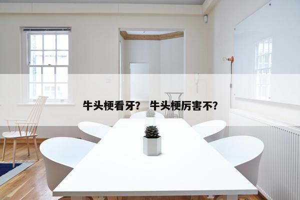 牛头梗看牙？ 牛头梗厉害不？