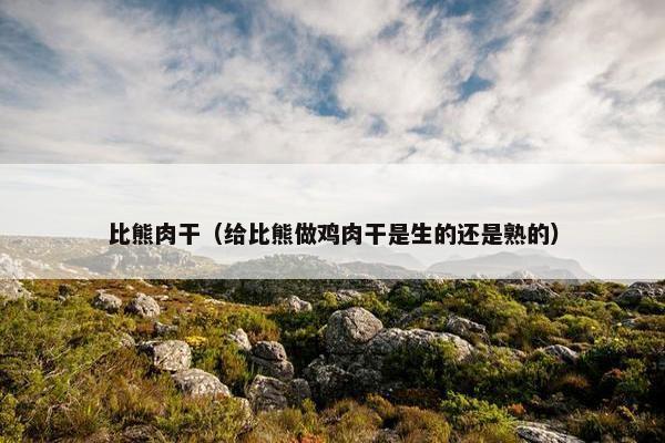 比熊肉干（给比熊做鸡肉干是生的还是熟的）