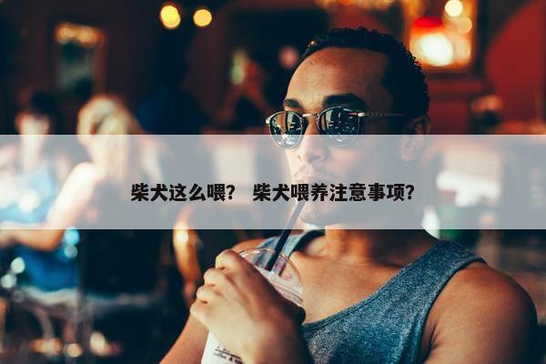 柴犬这么喂？ 柴犬喂养注意事项？