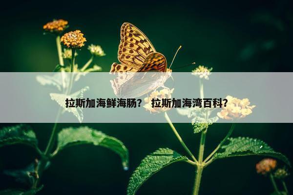 拉斯加海鲜海肠？ 拉斯加海湾百科？