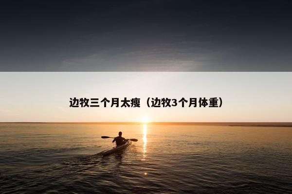 边牧三个月太瘦（边牧3个月体重）
