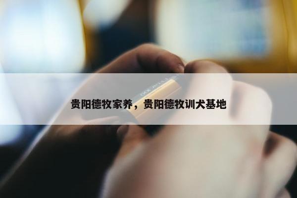 贵阳德牧家养，贵阳德牧训犬基地