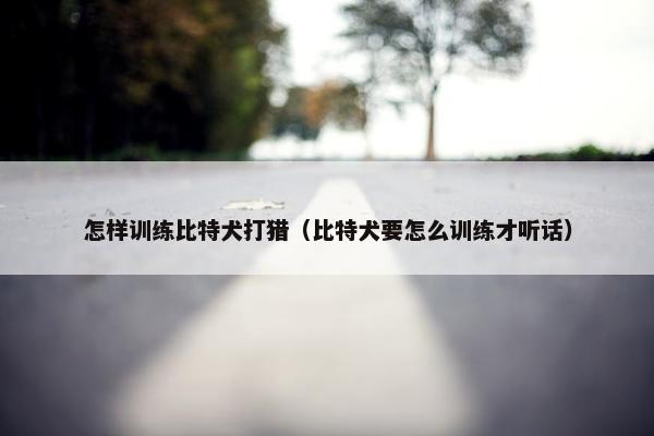怎样训练比特犬打猎（比特犬要怎么训练才听话）