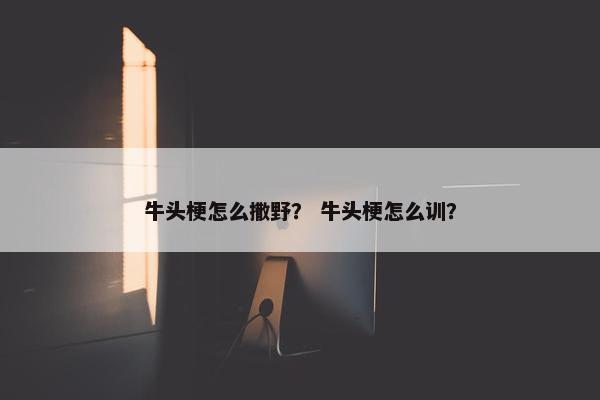 牛头梗怎么撒野？ 牛头梗怎么训？
