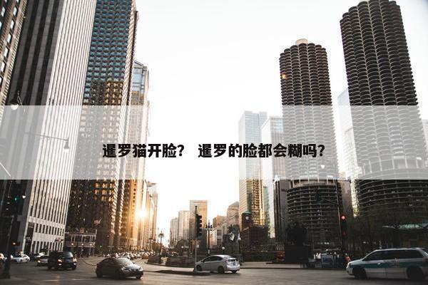 暹罗猫开脸？ 暹罗的脸都会糊吗？