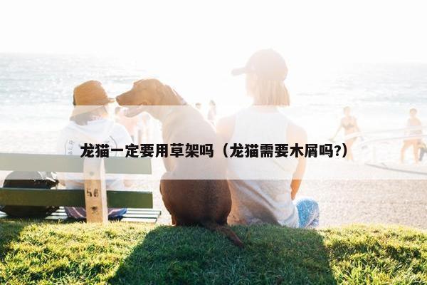 龙猫一定要用草架吗（龙猫需要木屑吗?）