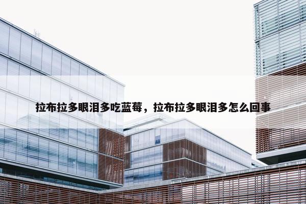 拉布拉多眼泪多吃蓝莓，拉布拉多眼泪多怎么回事