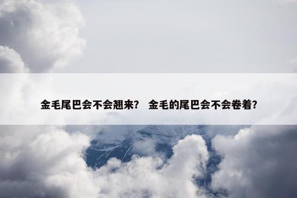 金毛尾巴会不会翘来？ 金毛的尾巴会不会卷着？